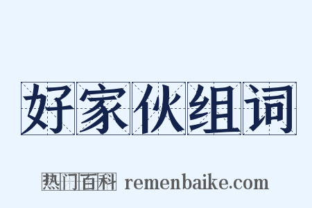 好家伙组词是什么意思的图片